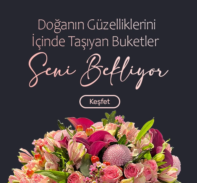 buketler