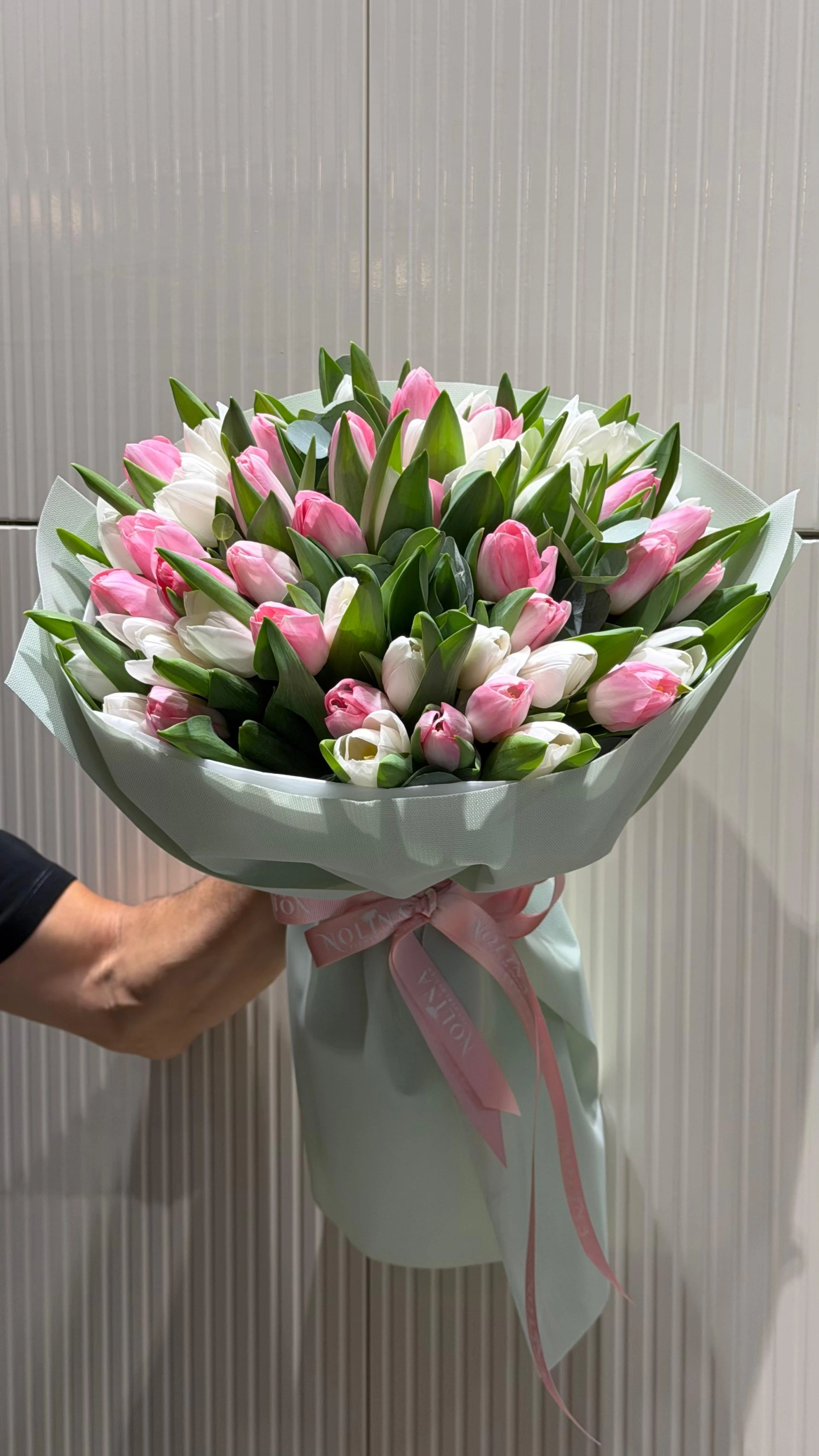 Tulip Story