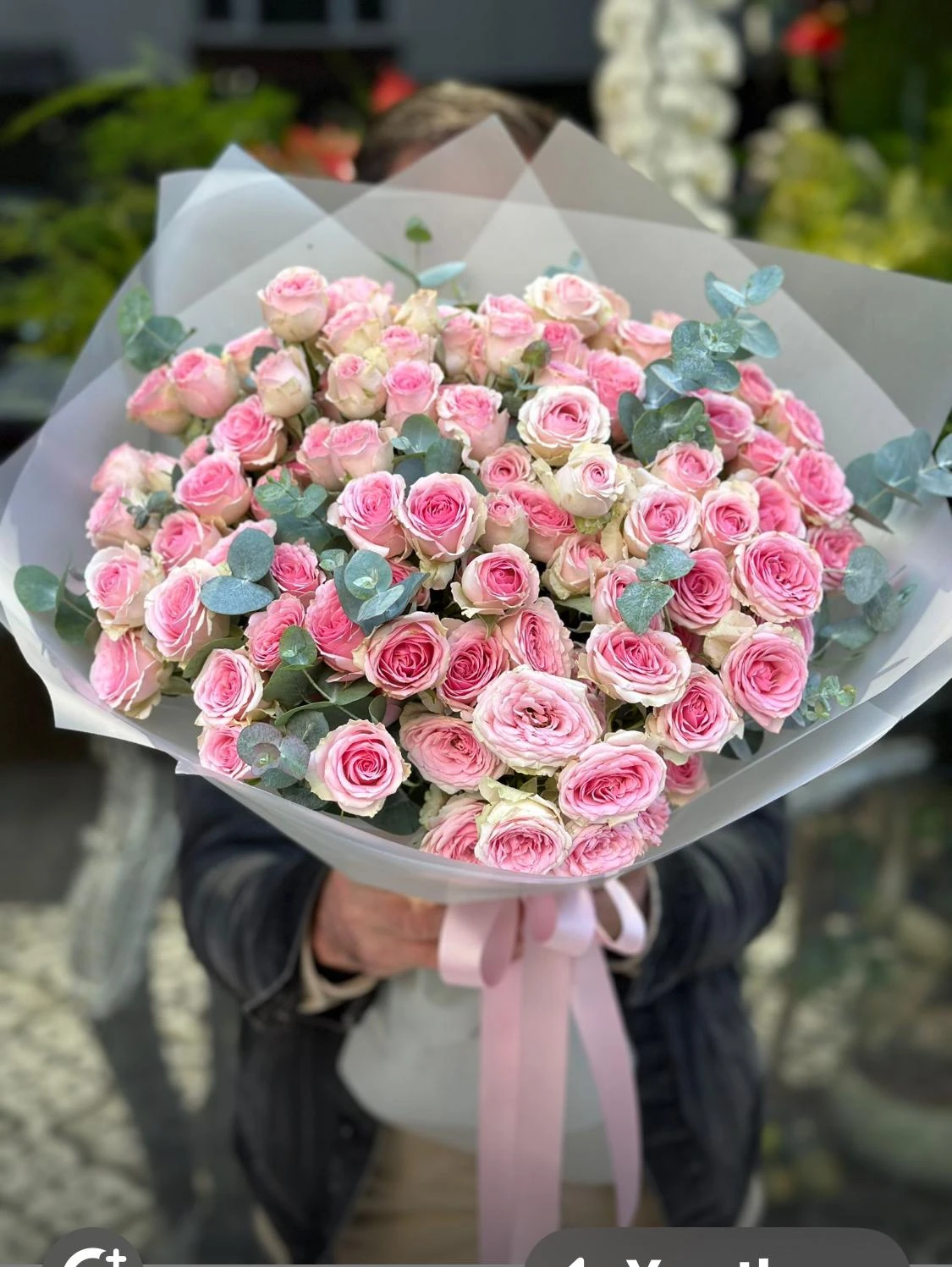 Çardak Pembe Gül