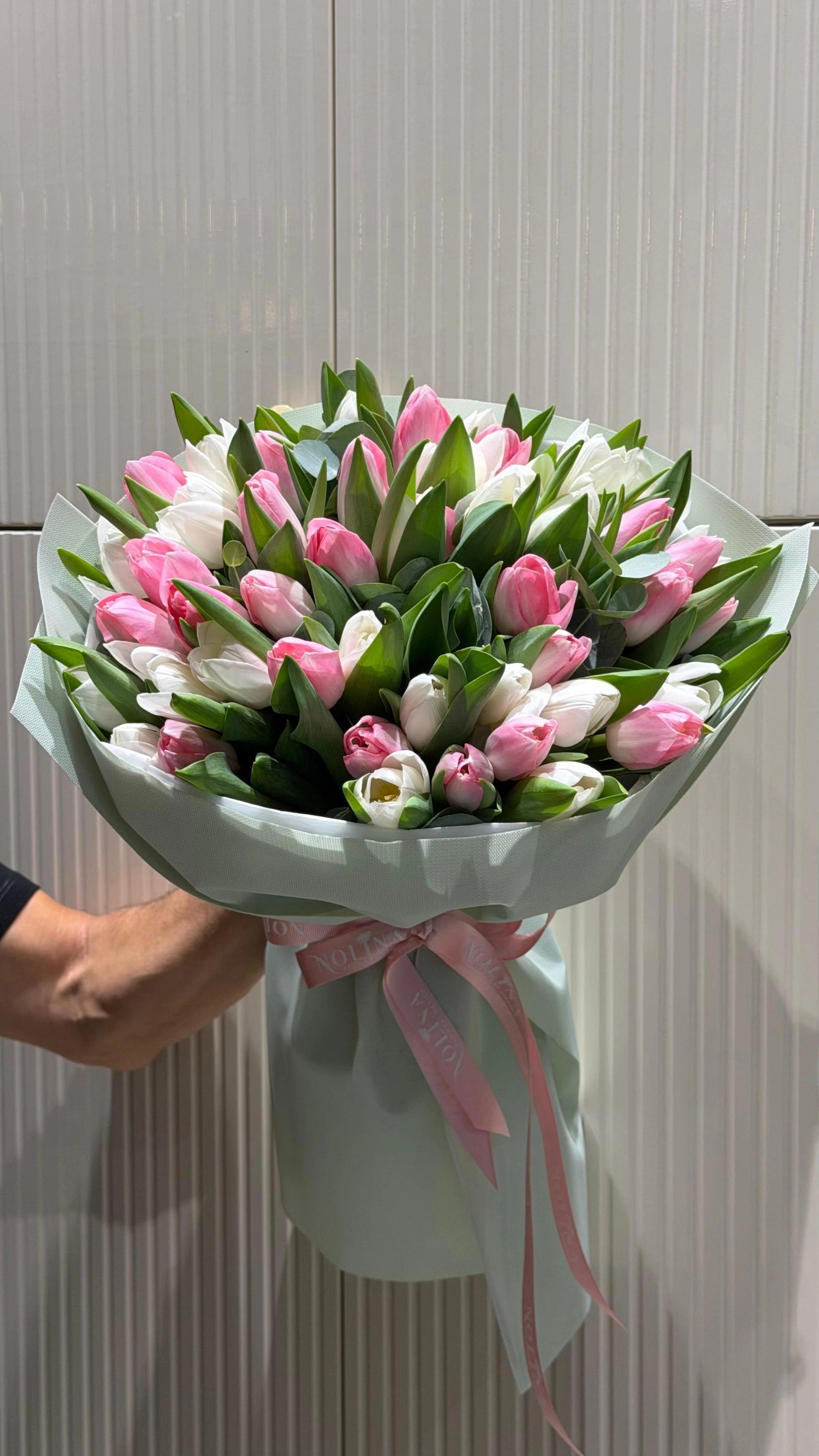Tulip Story